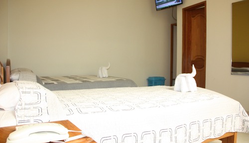 Habitación con 2 camas individuales, vistas al jardín