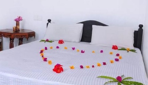 Habitación Deluxe doble