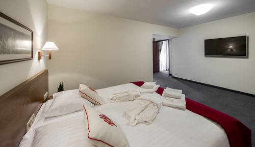 Suite estudio, 1 habitación, balcón (Living Room)