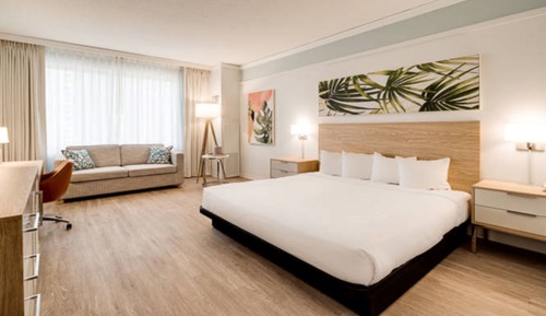 Habitación estándar, 1 cama de matrimonio grande con sofá cama, no fumadores