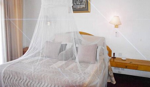 Suite ejecutiva