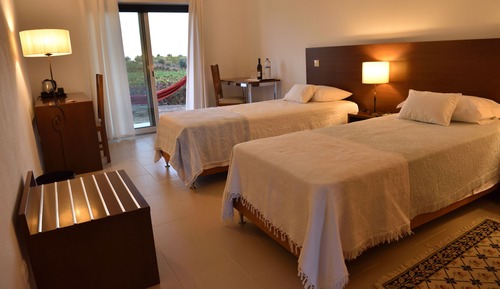 Habitación Confort con 2 camas individuales, 2 camas individuales, vistas al viñedo