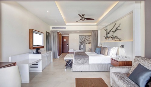 Luxury Junior Suite swim out