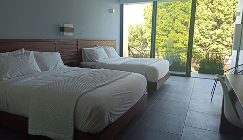 Habitación Deluxe