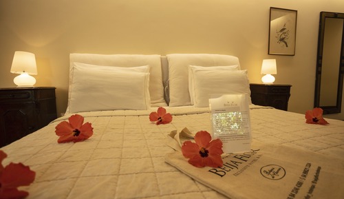 Habitación Deluxe con 2 camas individuales