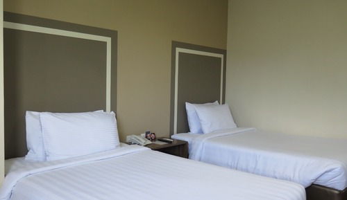 Habitación de lujo con 2 camas individuales