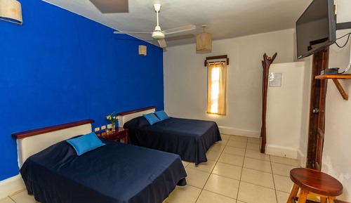 Habitacion Triple, vistas al Jardin y con TV. 
