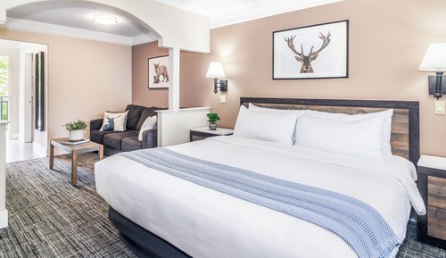 Habitación Deluxe, 1 cama de matrimonio grande