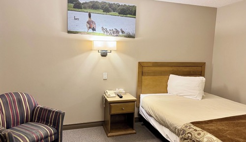 Habitación estándar, 1 cama de matrimonio, no fumadores