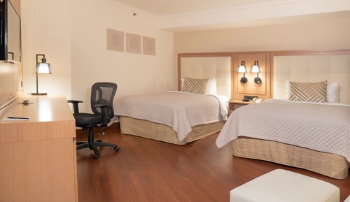 Suite ejecutiva, 2 camas dobles (Junior)