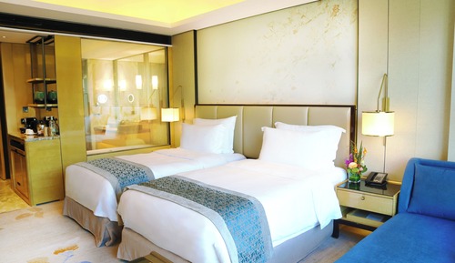 Habitación Deluxe, 2 camas individuales (Executive Premium Room Twin)