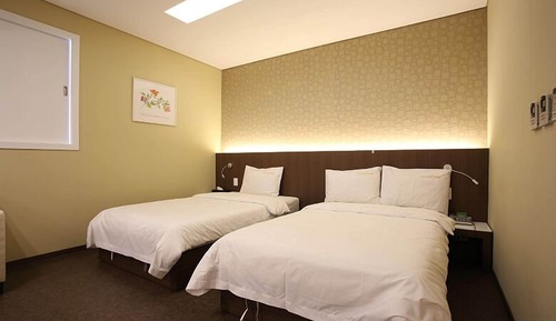 Habitación Deluxe con 2 camas individuales
