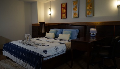 Habitación ejecutiva, 1 cama de matrimonio grande