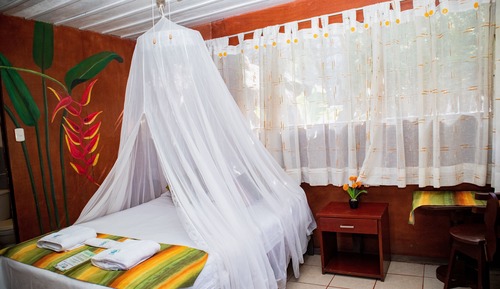 Habitación individual, vistas al jardín