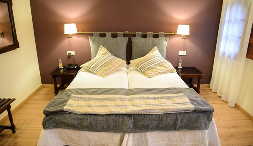 Habitación estándar con 1 cama doble o 2 individuales