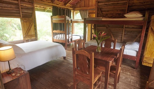 Habitación Confort, 1 habitación, vistas al jardín