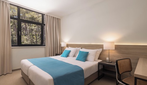 Habitación estándar con 1 cama doble o 2 individuales