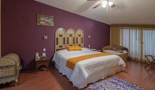Suite Estudio Business