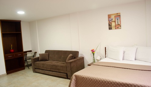 Habitación individual ejecutiva, 1 cama de matrimonio
