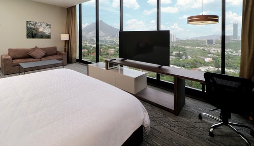 Suite, 1 cama de matrimonio grande con sofá cama