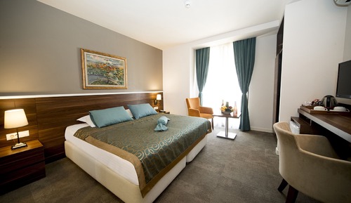 Habitación individual Deluxe