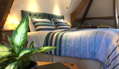 Habitación Premium con 2 camas individuales