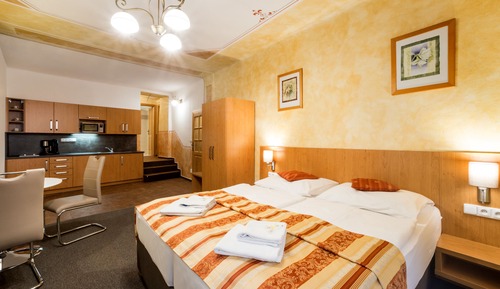 Apartamento de lujo, 1 habitación