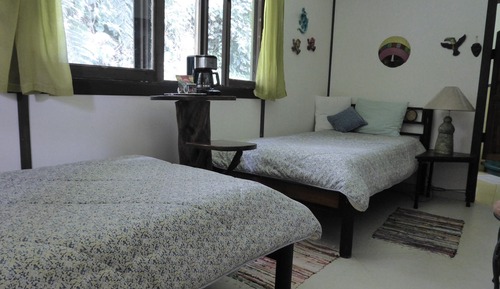 Habitación doble, 2 camas individuales (Flower Room)