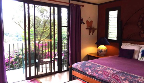 Habitación, 1 cama de matrimonio grande, balcón, vistas al lago (Butterfly Room)