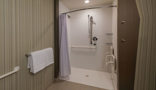 Habitación, 1 cama de matrimonio grande (Mobility Accessible, Roll-In Shower)