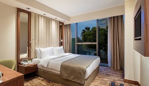 Habitación estándar, 1 cama de matrimonio, vistas a la ciudad