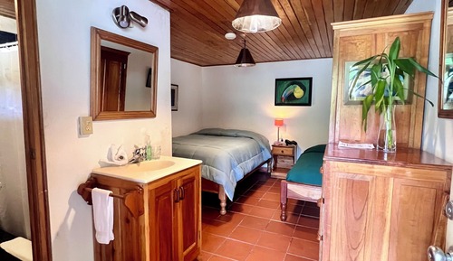 Habitación básica, vistas al jardín (1 King bed and 1 Single bed)