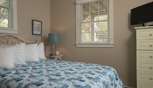 Habitación, baño privado (Petite Queen Bedroom)
