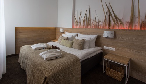 Habitación estándar doble (with Spa Access)
