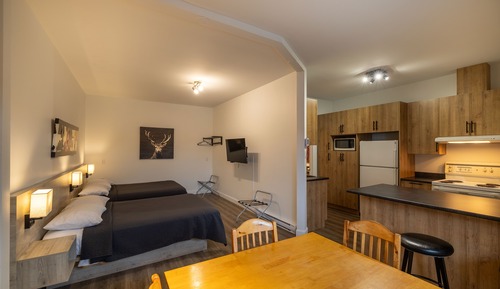 Apartamento estándar, 2 camas dobles, cocina