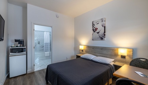 Habitación estándar, 1 cama doble