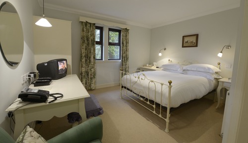 Habitación estándar con 1 cama doble o 2 individuales, 1 cama de matrimonio grande