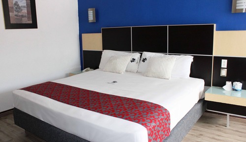 Habitación estándar, 1 cama de matrimonio grande