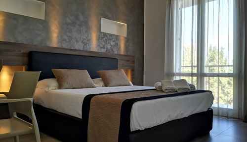 Habitación doble, 1 cama doble