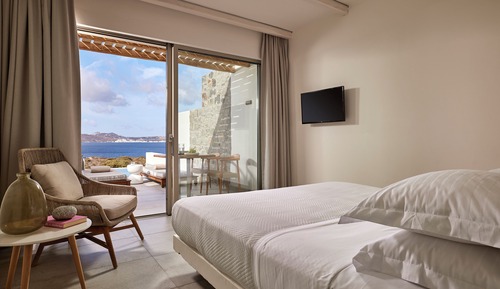Deluxe Double Suite with private pool and sea view