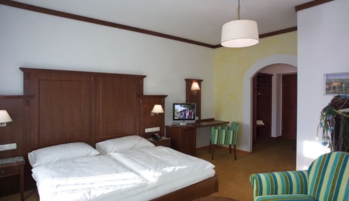 Habitación Business individual, vistas al jardín