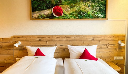 Habitación clásica con 1 cama doble o 2 individuales, 1 habitación, vistas a la montaña