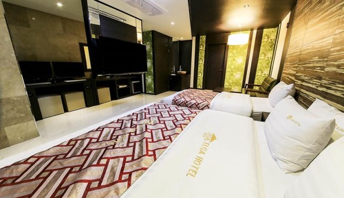 Suite junior