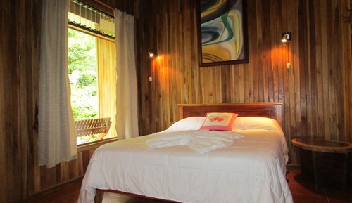 Habitación estándar, vistas al jardín