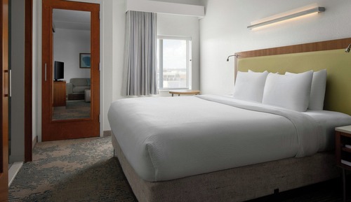 Suite, 1 cama de matrimonio grande con sofá cama (View)
