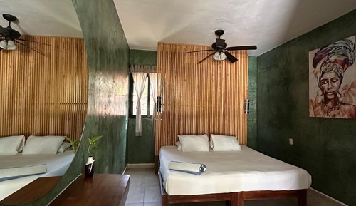 King Room with Garden View