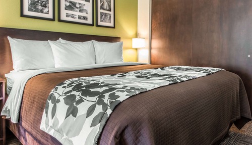Habitación, 1 cama de matrimonio grande, accesible para personas con discapacidad, no fumadores
