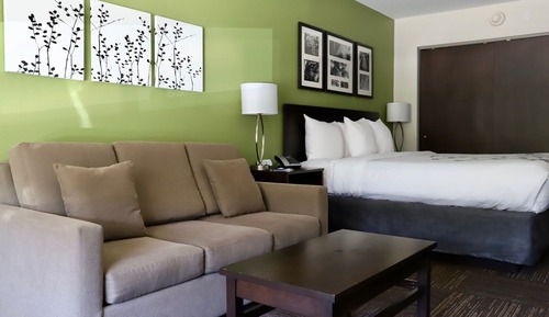 Suite, 1 cama de matrimonio grande con sofá cama, no fumadores (Whirlpool)
