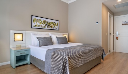 Habitación estándar con 1 cama doble o 2 individuales