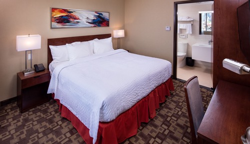Suite, 1 cama de matrimonio grande